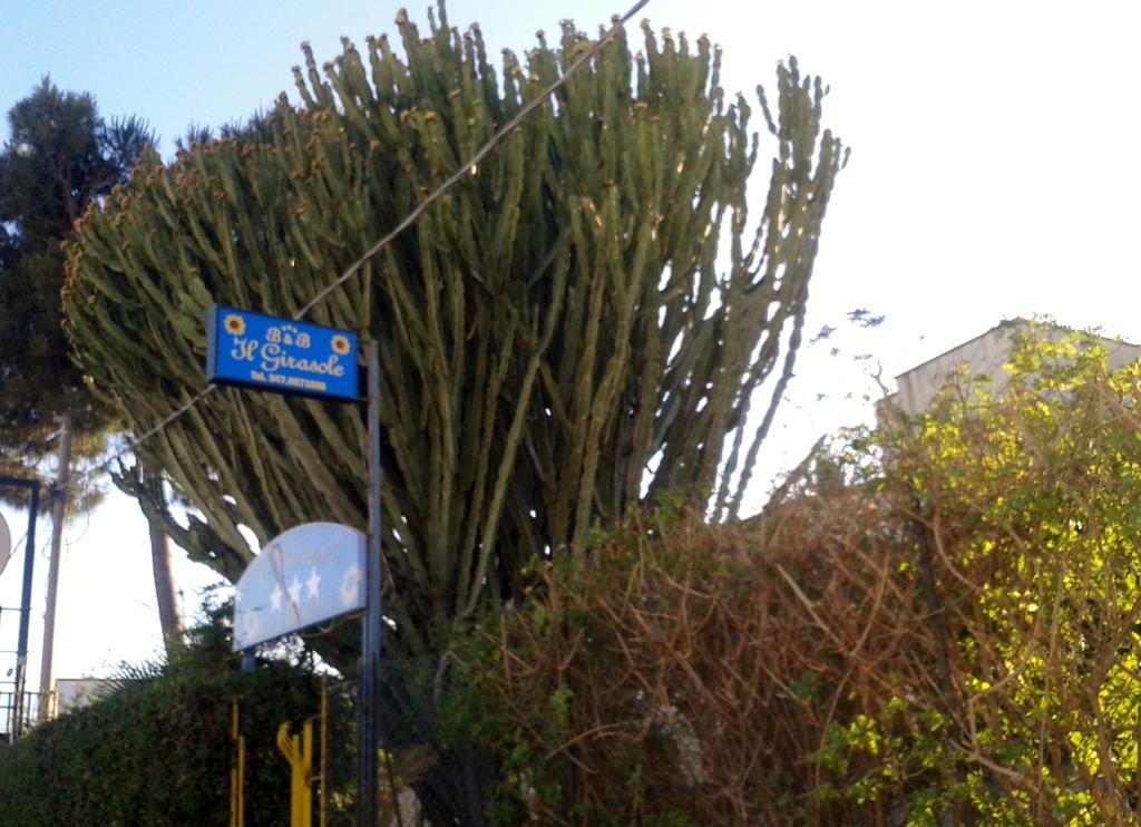 B&B Il Girasole Noto Ngoại thất bức ảnh