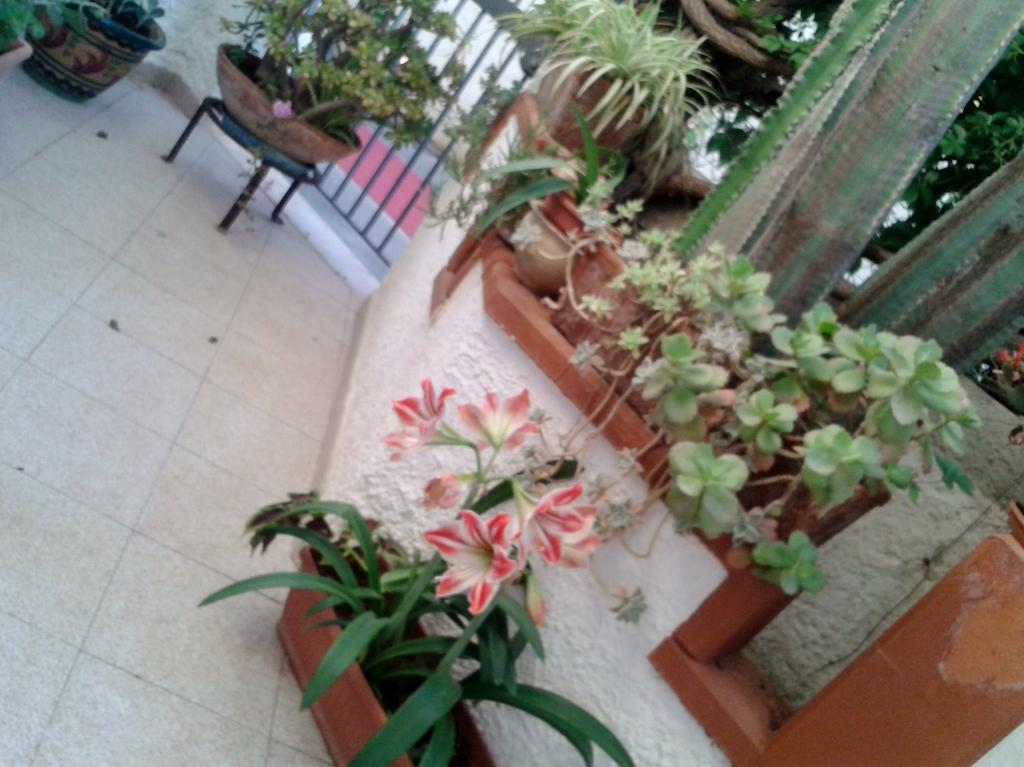 B&B Il Girasole Noto Ngoại thất bức ảnh